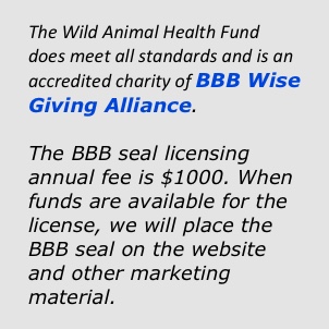 BBB WAHF logo BBB WAHF logo