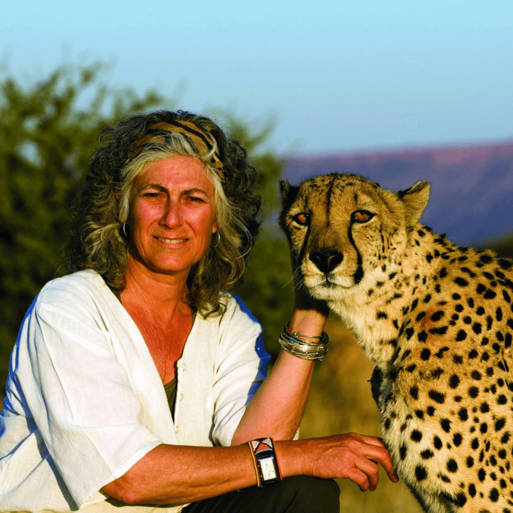 Dr. Laurie Marker poses with a cheetah, the sun bright on both of their faces.