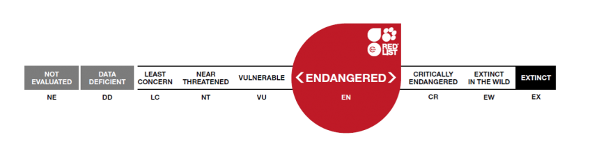 en en