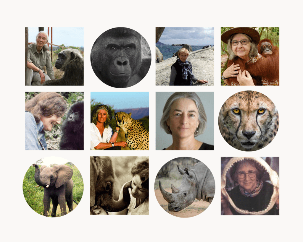 Inspiring Women in Wildlife Research and Conservation