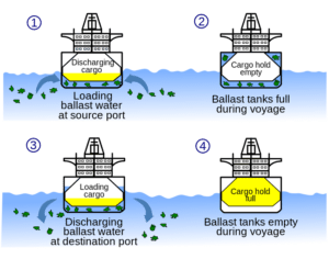 ballast water