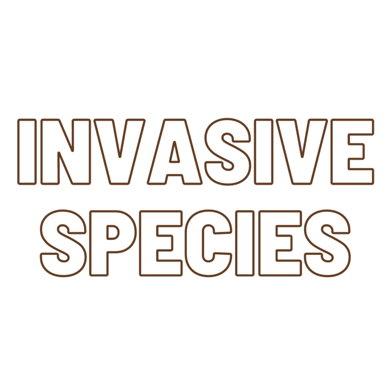 what-are-invasive-species-and-why-should-we-care