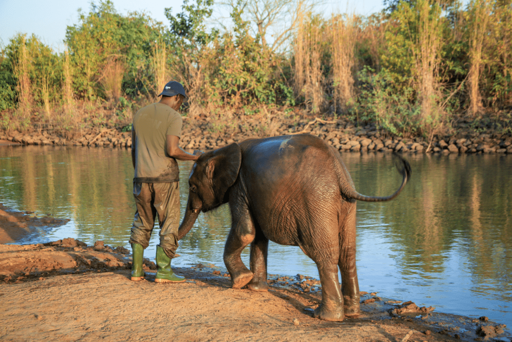 zoo vet (1) - Wild Animal Health Fund