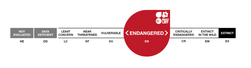 resized iucn image