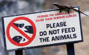 please do not feed the animals signage