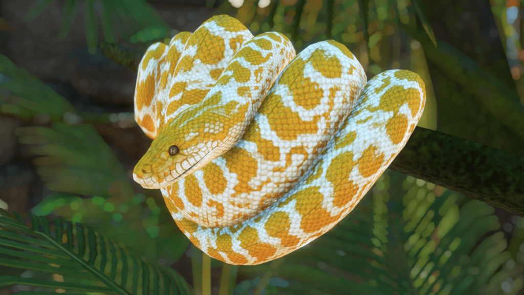 Check out this beautiful little carpet Python. : r/snakes