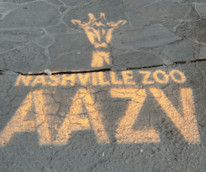 A stone pathway with "Nashville Zoo AAZV" projected onto it for the AAZV Conference's Zoo Day, celebrating wild animal health and raising awareness on how to help animals around the globe.