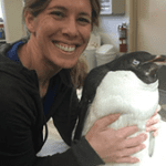 Untitled-1 Dr. Lara Croft and a penguin