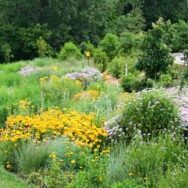 Fireworks-garden-july-2011-1080x675