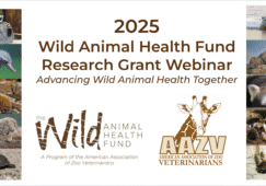 webinar